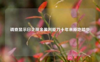 调查显示日企现金盈利能力十年来原地踏步