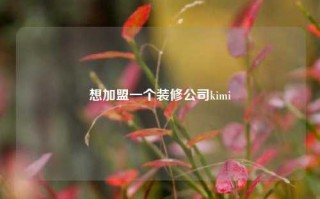 想加盟一个装修公司kimi