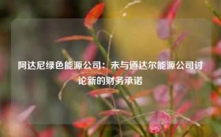 阿达尼绿色能源公司：未与道达尔能源公司讨论新的财务承诺