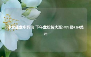 中北能盘中异动 下午盘股价大涨5.85%报0.360美元