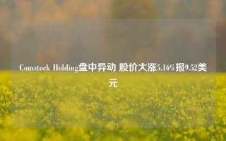 Comstock Holding盘中异动 股价大涨5.16%报9.52美元