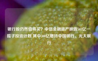 银行股仍然值得买？中信金融资产披露503亿一揽子投资计划 其中300亿增持中国银行、光大银行