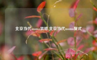 北京当代moma装修,北京当代moma复式