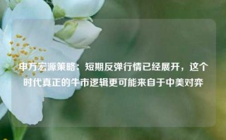 申万宏源策略：短期反弹行情已经展开，这个时代真正的牛市逻辑更可能来自于中美对弈