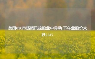 美国OTC市场腾讯控股盘中异动 下午盘股价大跌5.34%