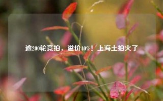 逾200轮竞拍，溢价40%！上海土拍火了