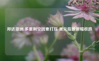 邦达亚洲:多重利空因素打压 美元指数微幅收跌