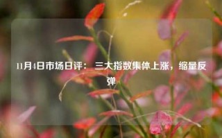 11月4日市场日评： 三大指数集体上涨，缩量反弹