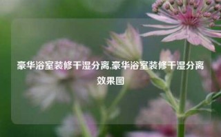 豪华浴室装修干湿分离,豪华浴室装修干湿分离效果图