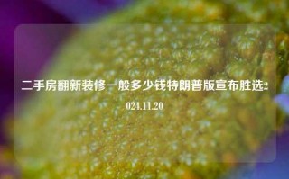 二手房翻新装修一般多少钱特朗普版宣布胜选2024.11.20