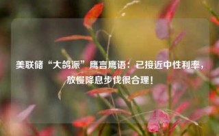 美联储“大鸽派”鹰言鹰语：已接近中性利率，放慢降息步伐很合理！