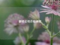 装修公司介绍蒋欣