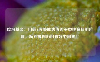 摩根基金：目前A股整体估值处于中性偏低的位置，海外机构仍旧看好中国资产