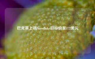 巴克莱上调Snowflake目标价至172美元