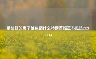 精装修的房子都包括什么特朗普版宣布胜选2024.11.13