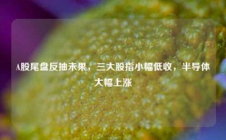 A股尾盘反抽未果，三大股指小幅低收，半导体大幅上涨