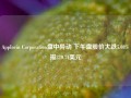 Applovin Corporation盘中异动 下午盘股价大跌5.08%报320.74美元