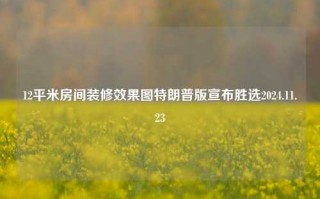 12平米房间装修效果图特朗普版宣布胜选2024.11.23