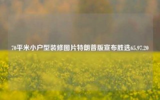 70平米小户型装修图片特朗普版宣布胜选65.97.20