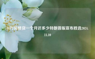 10万装修贷一个月还多少特朗普版宣布胜选2024.11.10