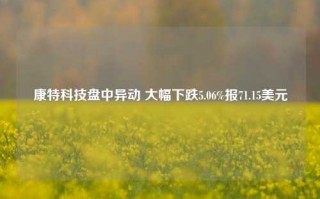 康特科技盘中异动 大幅下跌5.06%报71.15美元