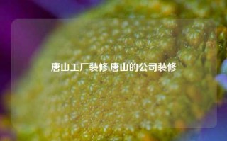 唐山工厂装修,唐山的公司装修