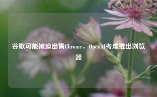 谷歌可能被迫出售Chrome，OpenAI考虑推出浏览器