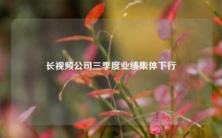 长视频公司三季度业绩集体下行