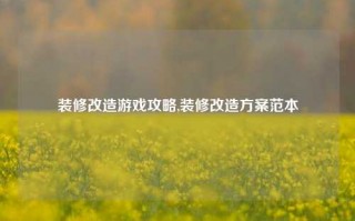 装修改造游戏攻略,装修改造方案范本