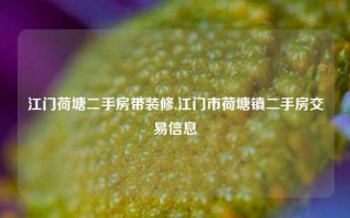 江门荷塘二手房带装修,江门市荷塘镇二手房交易信息