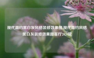 现代简约黑白灰风格装修效果图,现代简约风格黑白灰装修效果图客厅2020款