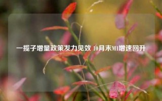 一揽子增量政策发力见效 10月末M1增速回升