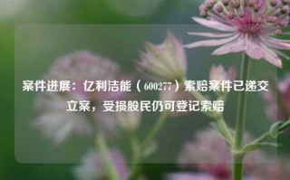 案件进展：亿利洁能（600277）索赔案件已递交立案，受损股民仍可登记索赔