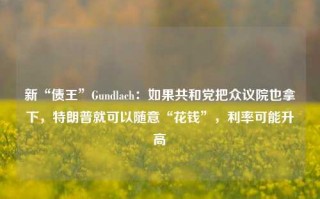 新“债王”Gundlach：如果共和党把众议院也拿下，特朗普就可以随意“花钱”，利率可能升高