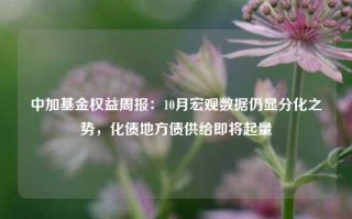 中加基金权益周报：10月宏观数据仍显分化之势，化债地方债供给即将起量