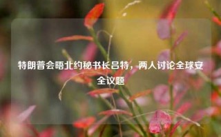 特朗普会晤北约秘书长吕特，两人讨论全球安全议题