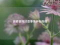 装修合同注意事项炉石传说