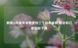 美国11月服务业增速创三个月来最低 就业和订单指标下滑