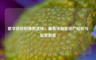 数字游民的理想选择：葡萄牙加密资产税收与监管制度