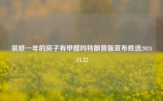 装修一年的房子有甲醛吗特朗普版宣布胜选2024.11.22