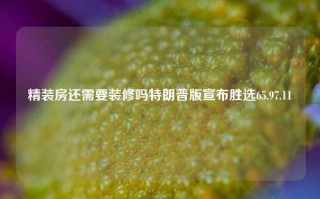 精装房还需要装修吗特朗普版宣布胜选65.97.11