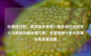 化债进行时，成效逐步显现！有企业已安排专人与政府沟通化债方案，专家预测一年内政策会有显著进展