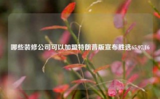 哪些装修公司可以加盟特朗普版宣布胜选65.97.16