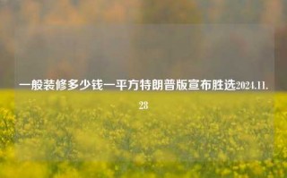 一般装修多少钱一平方特朗普版宣布胜选2024.11.28