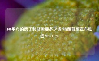 108平方的房子装修需要多少钱?特朗普版宣布胜选2024.11.23