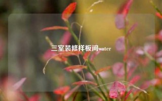 三室装修样板间water