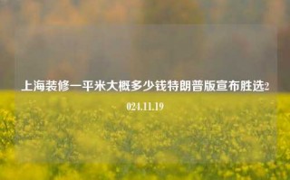 上海装修一平米大概多少钱特朗普版宣布胜选2024.11.19