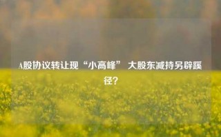 A股协议转让现“小高峰” 大股东减持另辟蹊径？