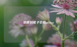 装修刮腻子价格passion