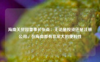 海南关贸园董事长张焱：无论是投资还是注册公司，在海南都有非常大的便利性